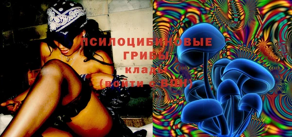 дживик Алексин