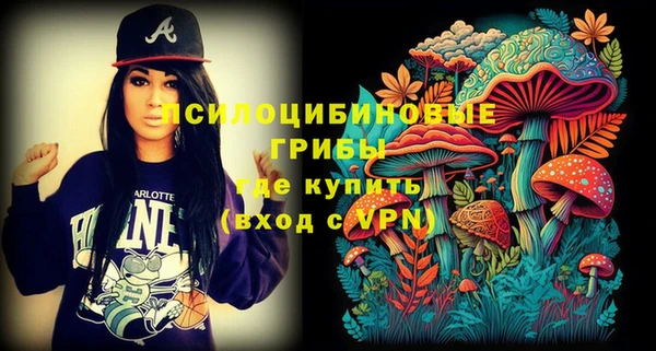 твердый Саяногорск