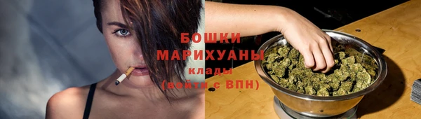 spice Алзамай