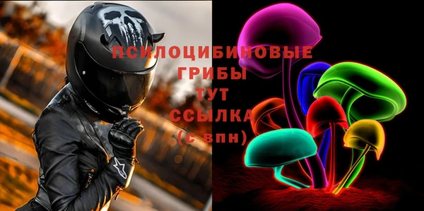 дживик Алексин